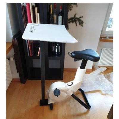 spin bikes for home