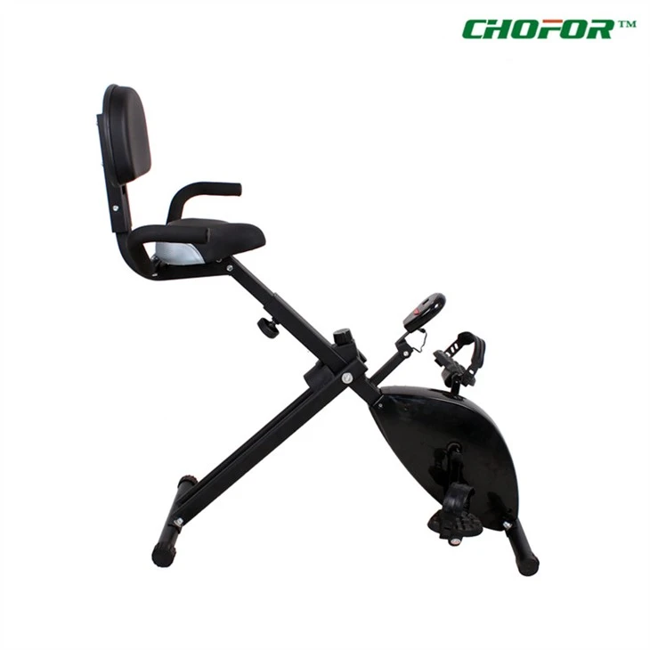 Magnetic X Bike With Backrest